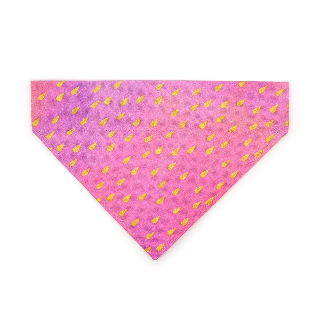 Clearance SALE — Up to 50% OFF Select Items *(Excluded From Sitewide Discounts)